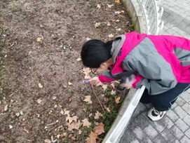 计算机251活动照片